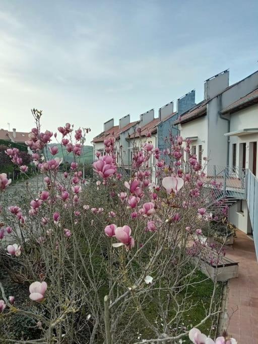 Apartamento Terraza Y Piscina Con Vistas Espectaculares Al Mar Parking Cubierto San Vicente De La Barquera Exterior foto